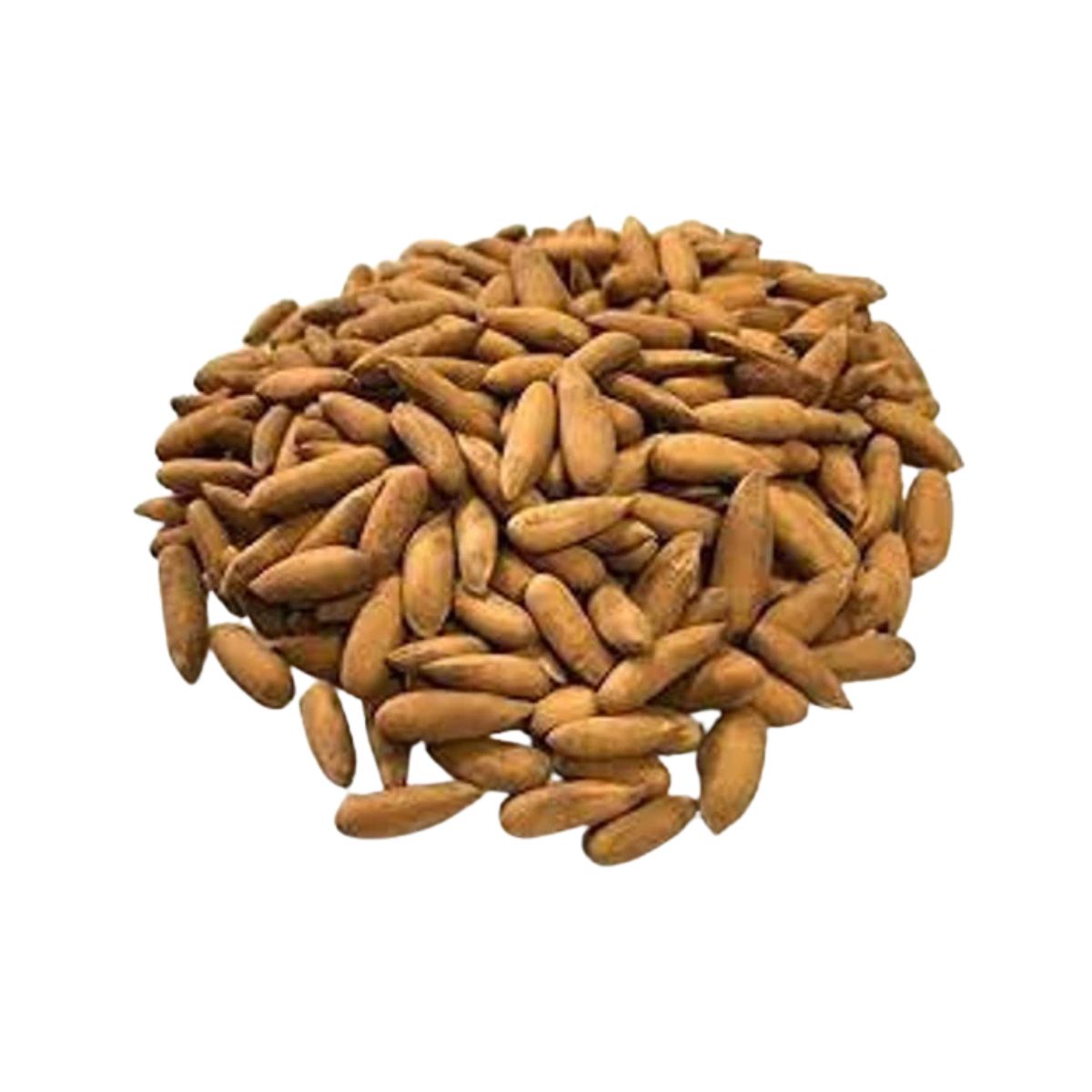 Chilgoza Pine Nuts