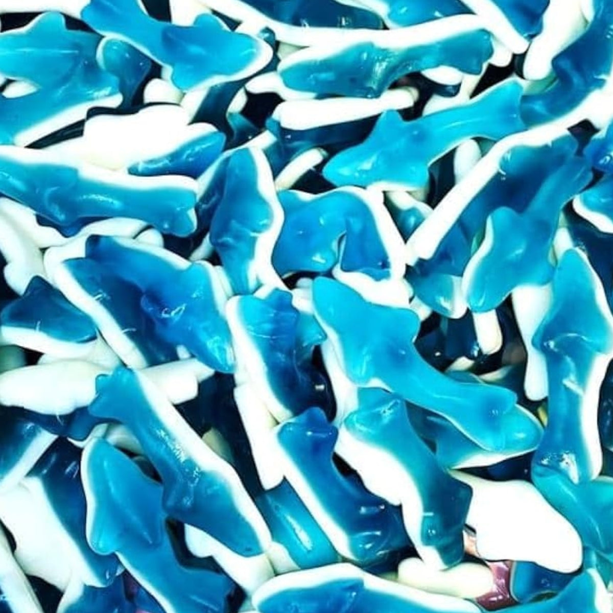 Jelly Sharks