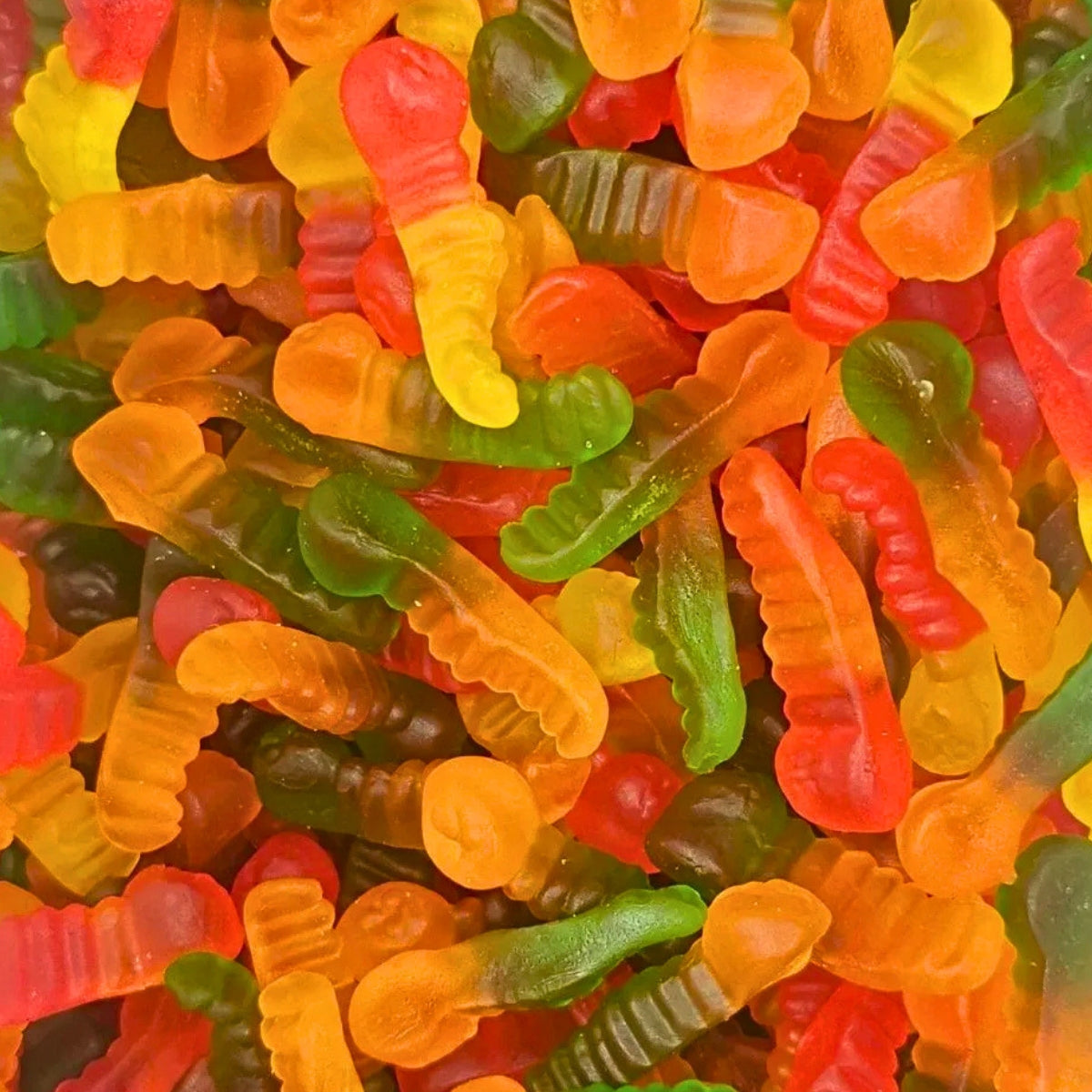 Jelly Worms