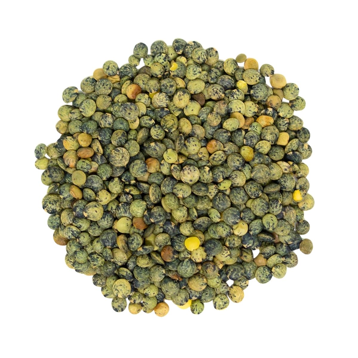 Puy Lentils