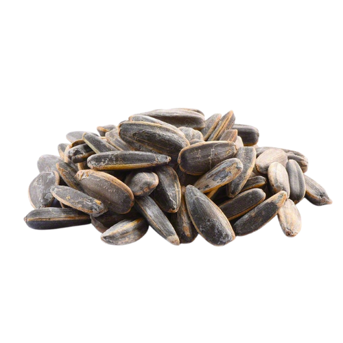 Roasted Salted Sunflower Seeds With Shell Ginco