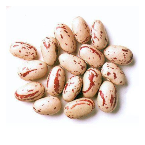 Rose Coco Beans