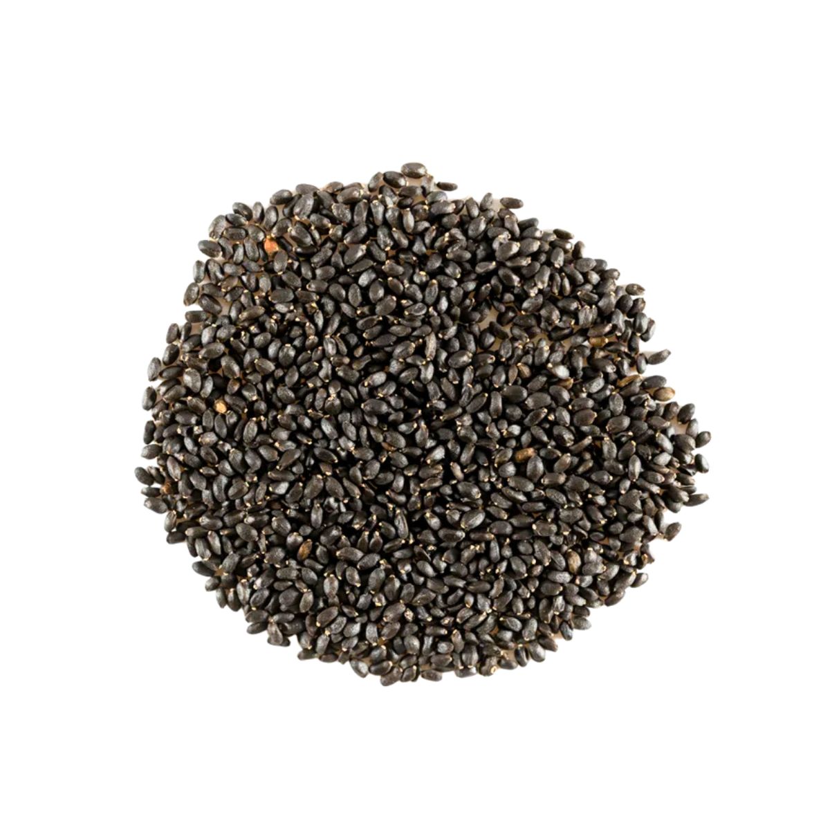 Basil Seeds