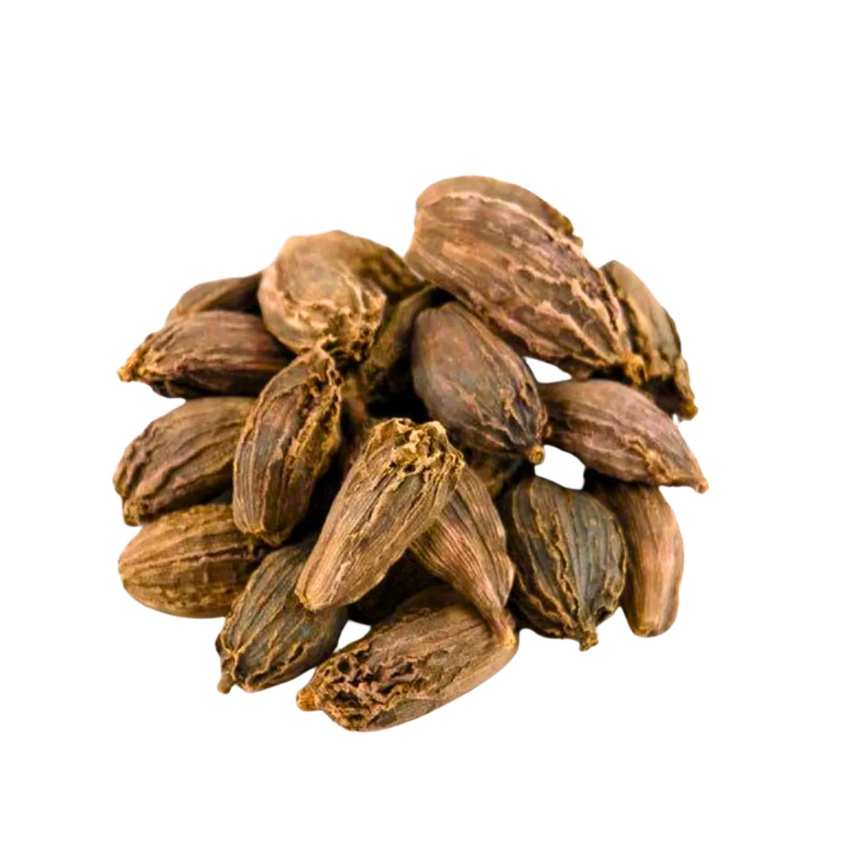 Black Cardamom Pods