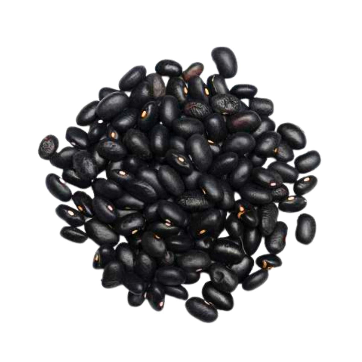 Black Turtle Beans