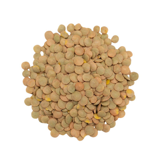 Green Lentils Whole