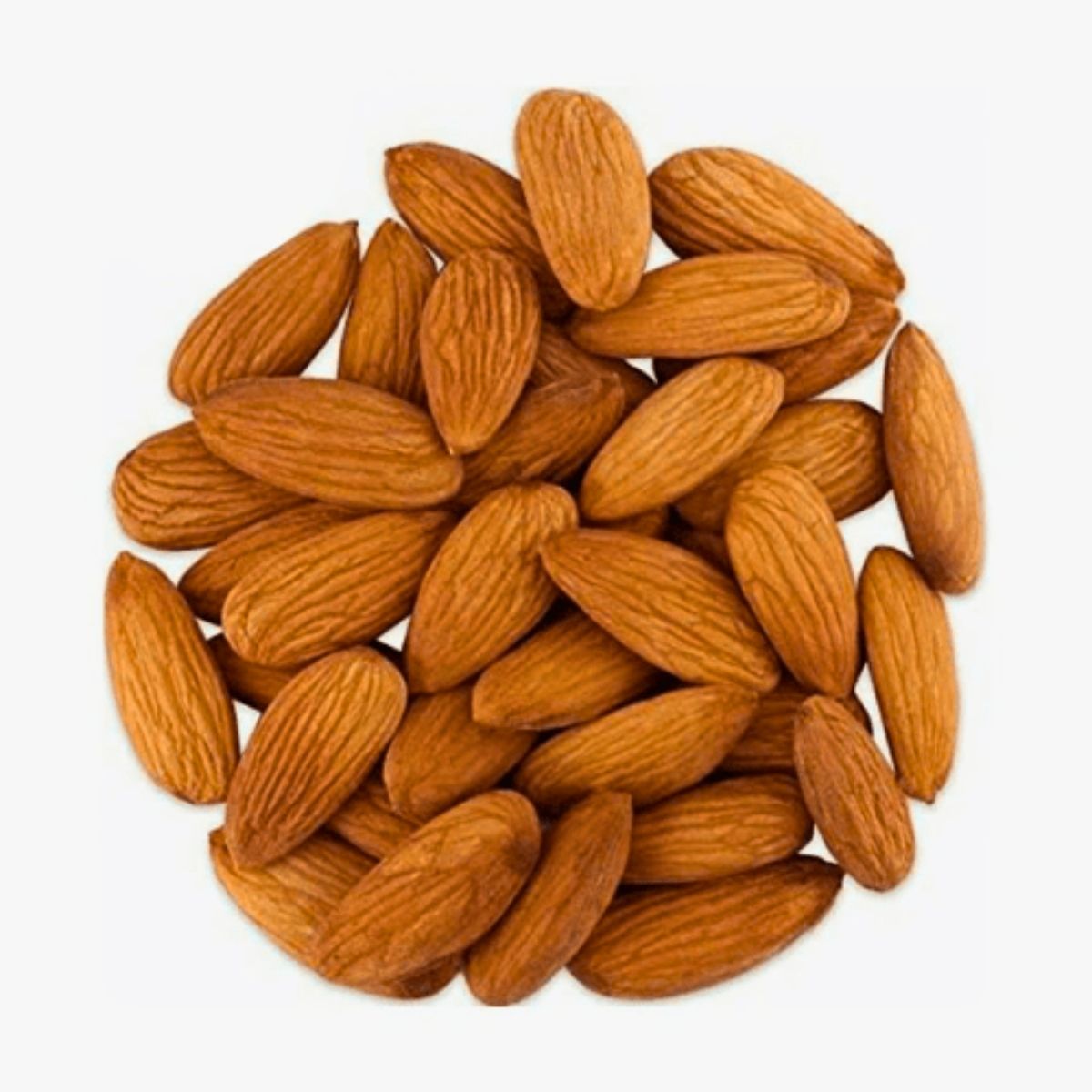 Jumbo Almonds | Extra Large