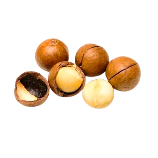 Macadamia in Shell