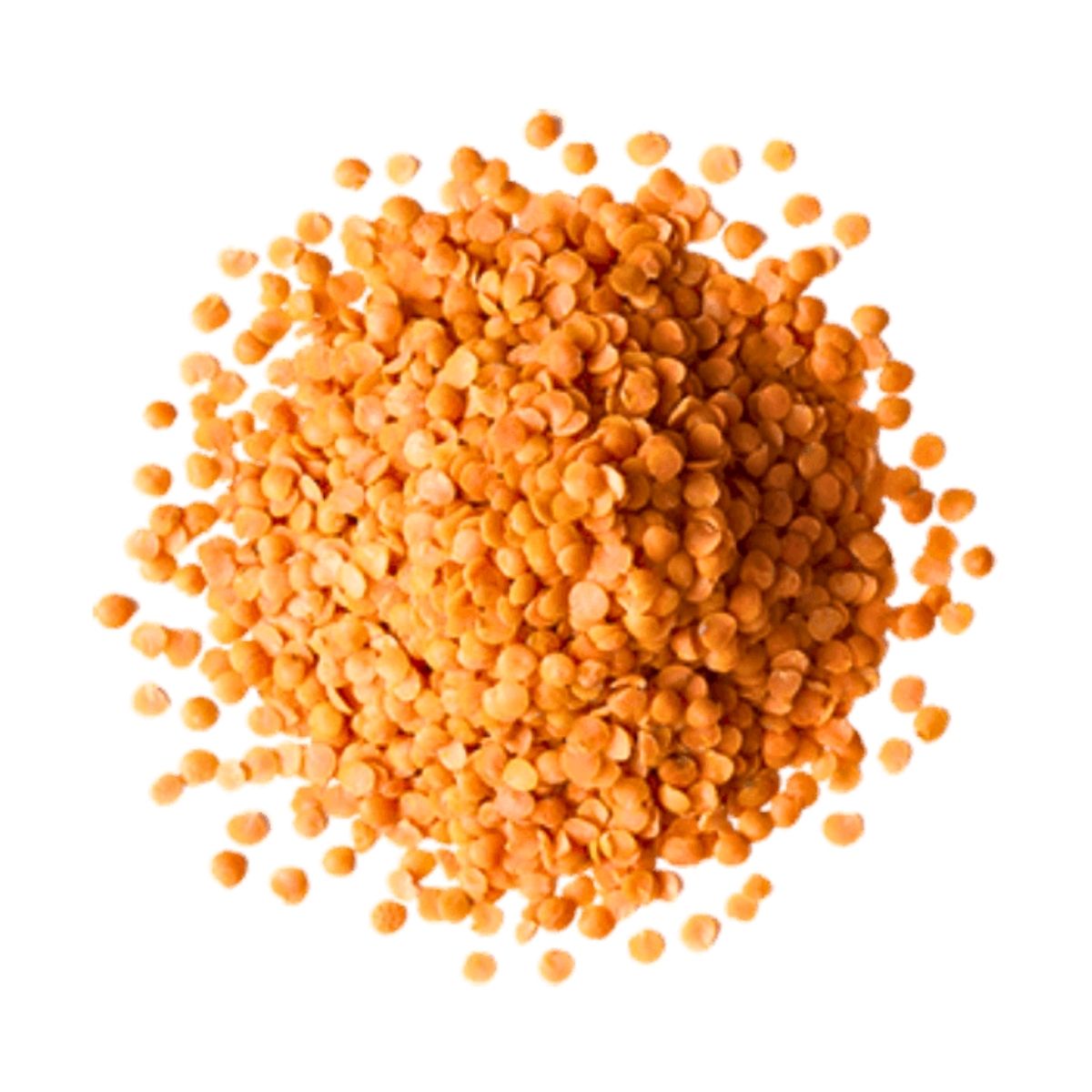 Red Lentils