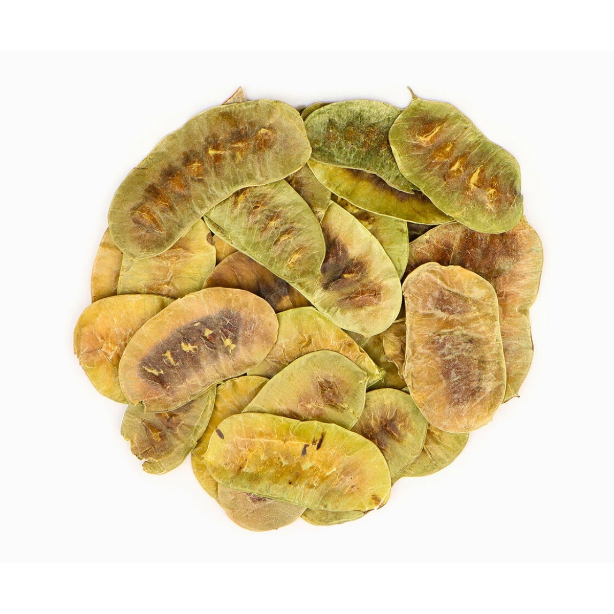 Senna Pods – Ayurvedic Herb for Natural Detox & Digestion