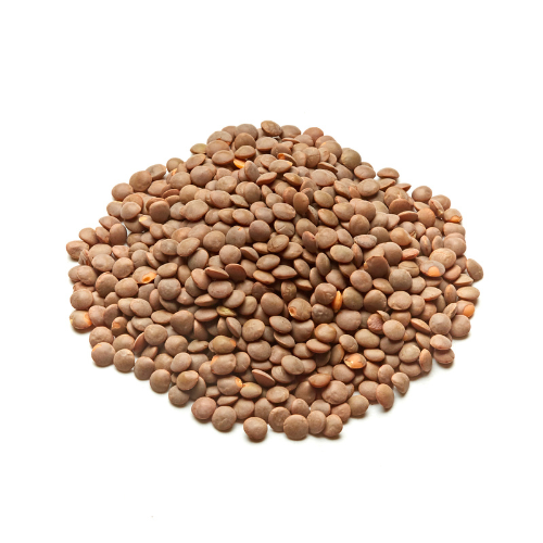 Brown Lentils